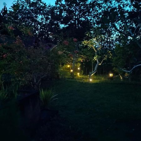 Bougainvillea Bungalow Batumadeg Εξωτερικό φωτογραφία